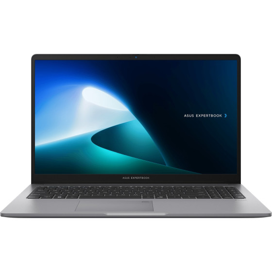 PC portable Asus ExpertBook P1 (P1503CVA-NJ0991)
