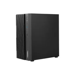 PC de bureau MSI Pro DP180 13 + Écran MP251 24"