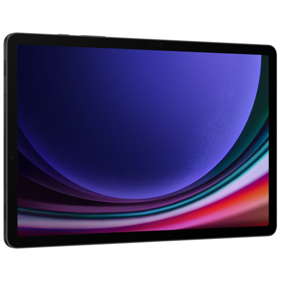 Tablette Samsung Galaxy Tab S9 5G (12GB / 256GO)