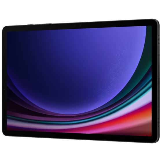 Tablette Samsung Galaxy Tab S9 5G (12GB / 256GO)