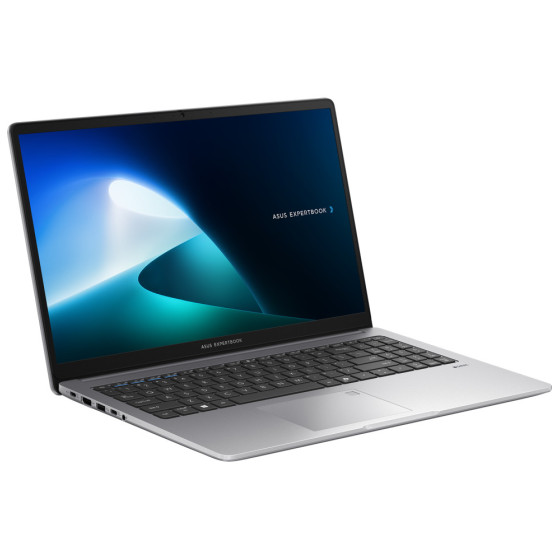 PC portable Asus ExpertBook P1 (P1503CVA-S71473)