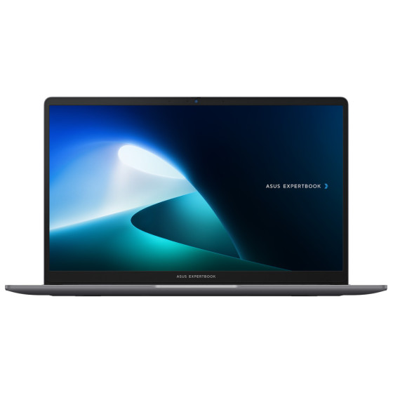 PC portable Asus ExpertBook P1 (P1503CVA-S71473)
