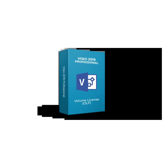Microsoft Visio Professional 2019 OLP 1 Poste (D87-07499)