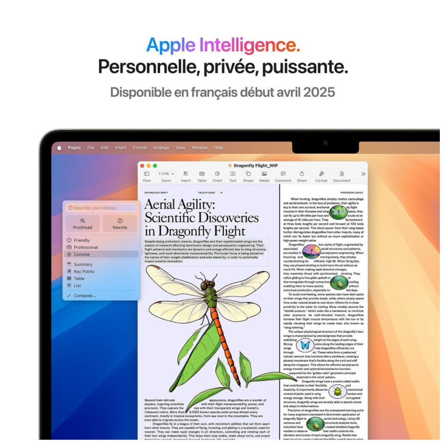 Apple MacBook Air M4 13 pouces (2025) (MC6A4)