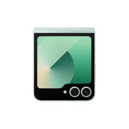  SAMSUNG Galaxy Z Flip 6 5G Dual Sim (12GB | 256 GB)