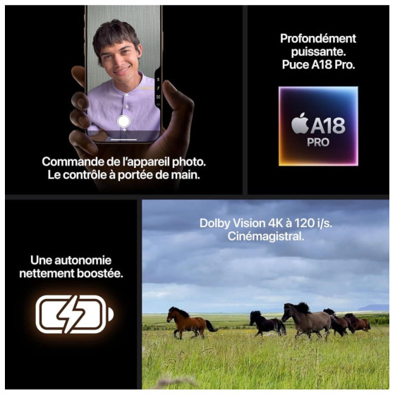 iPhone 16 Pro Max 512 Go | Couleur Titane blanc (MYX13ZD/A)