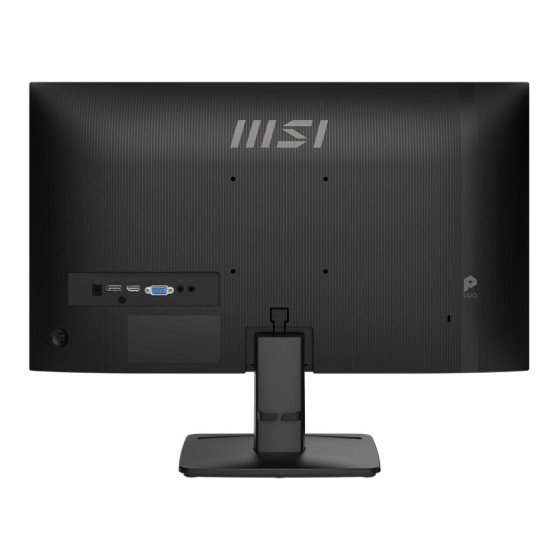 Écran 25" Full HD MSI Pro MP251 E2 (9S6-3PD2CM-001)