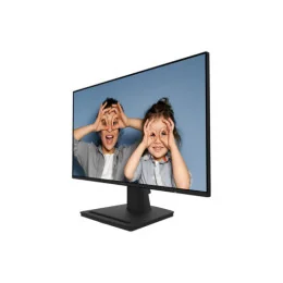  ÉCRAN 25" FULL HD MSI PRO MP252 (9S6-3PC4CT-017)