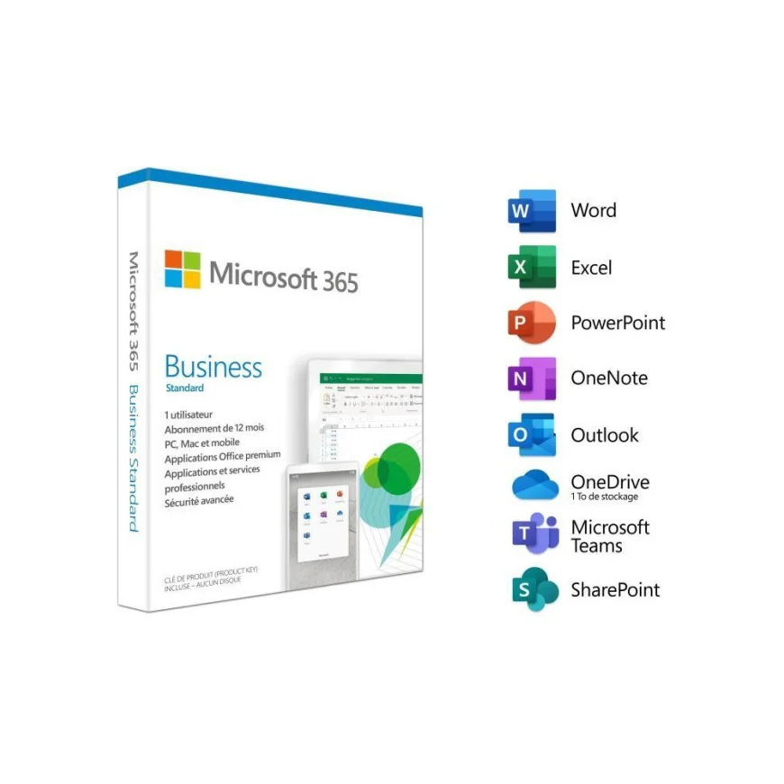 Microsoft 365 Business Standard (CFQ7TTC0LDPB0001P1YA)