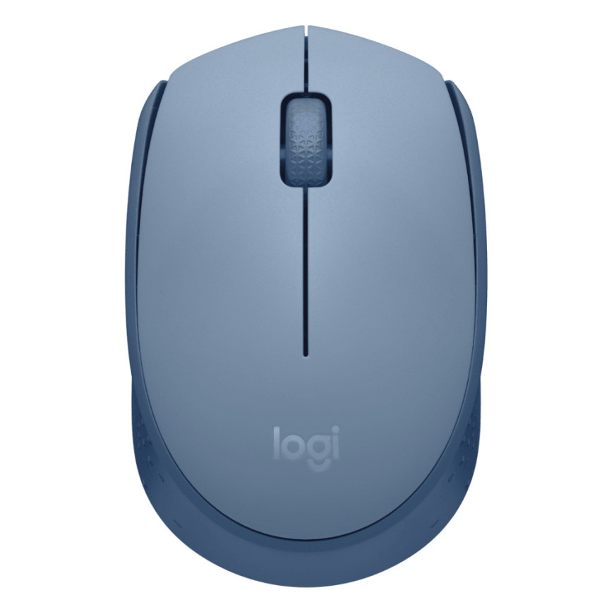Souris sans fil Logitech M171 (910-006866)