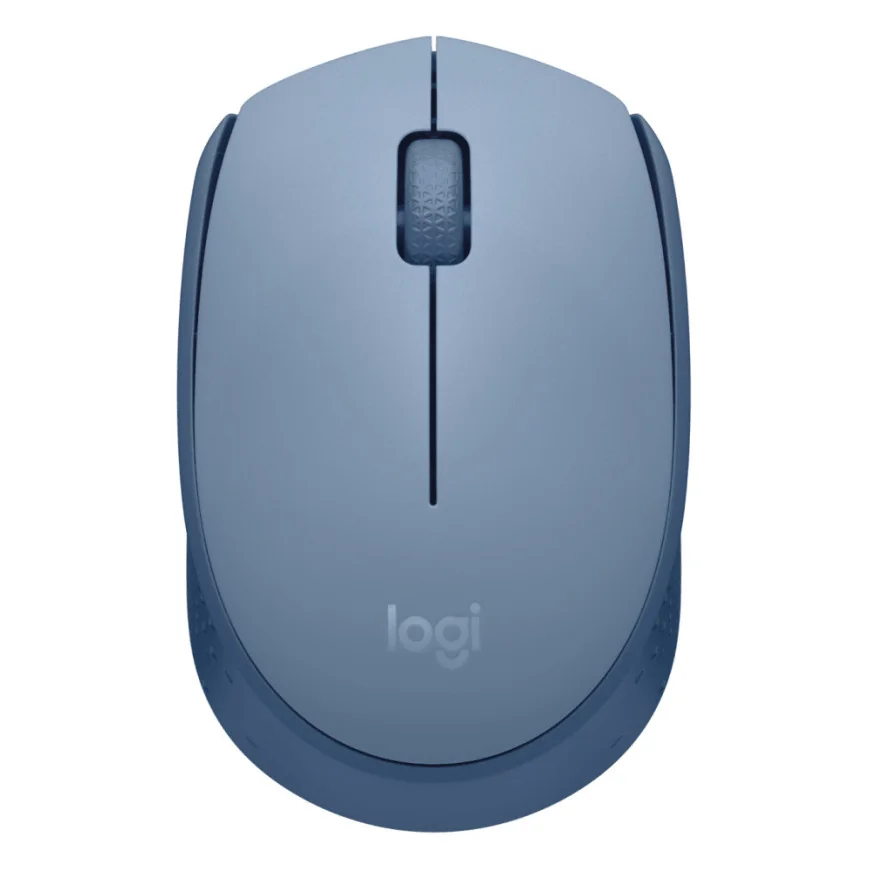 Souris sans fil Logitech M171 (910-006866)