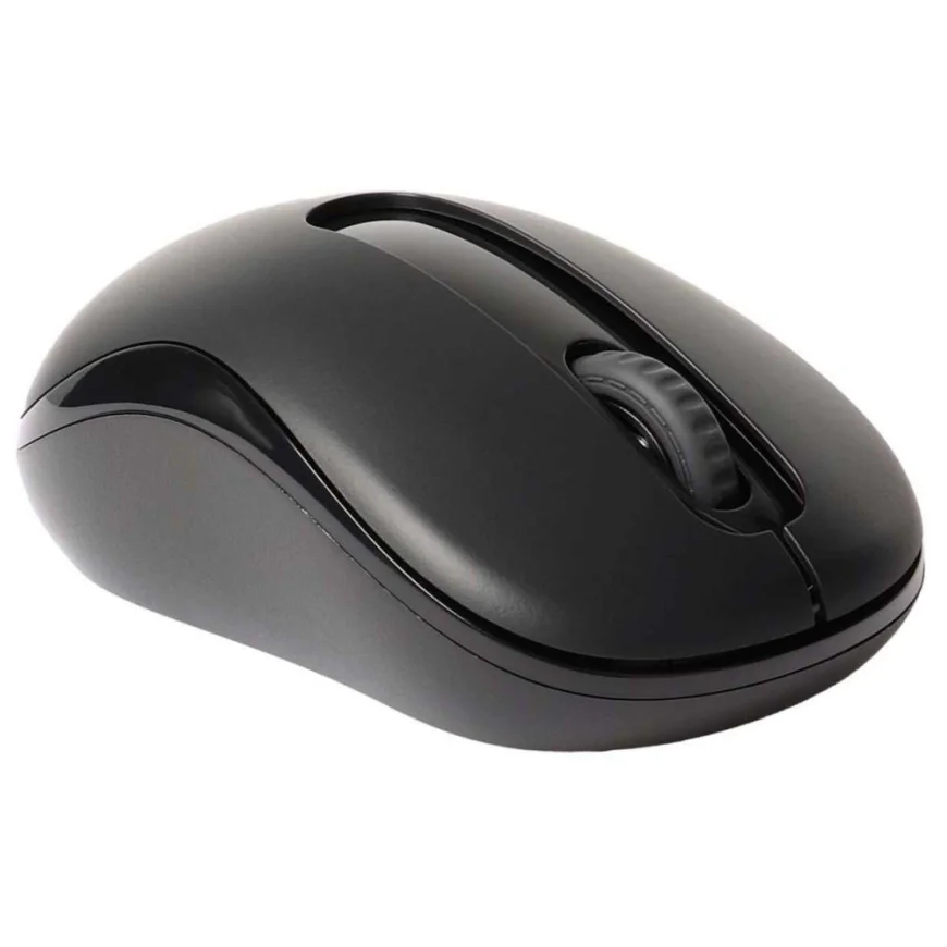 Souris sans fil Rapoo M10+ (M10PLUS)