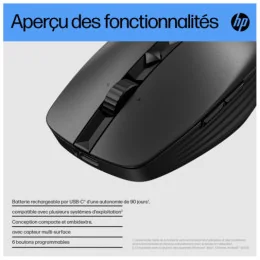  HP Souris silencieuse rechargeable 710 Souris silencieuse rechargeable HP 710 (6E6F2AA)
