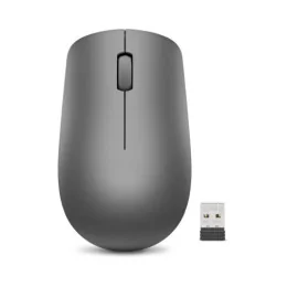 Souris sans fil USB Lenovo 530 - Graphite (GY50Z49089)