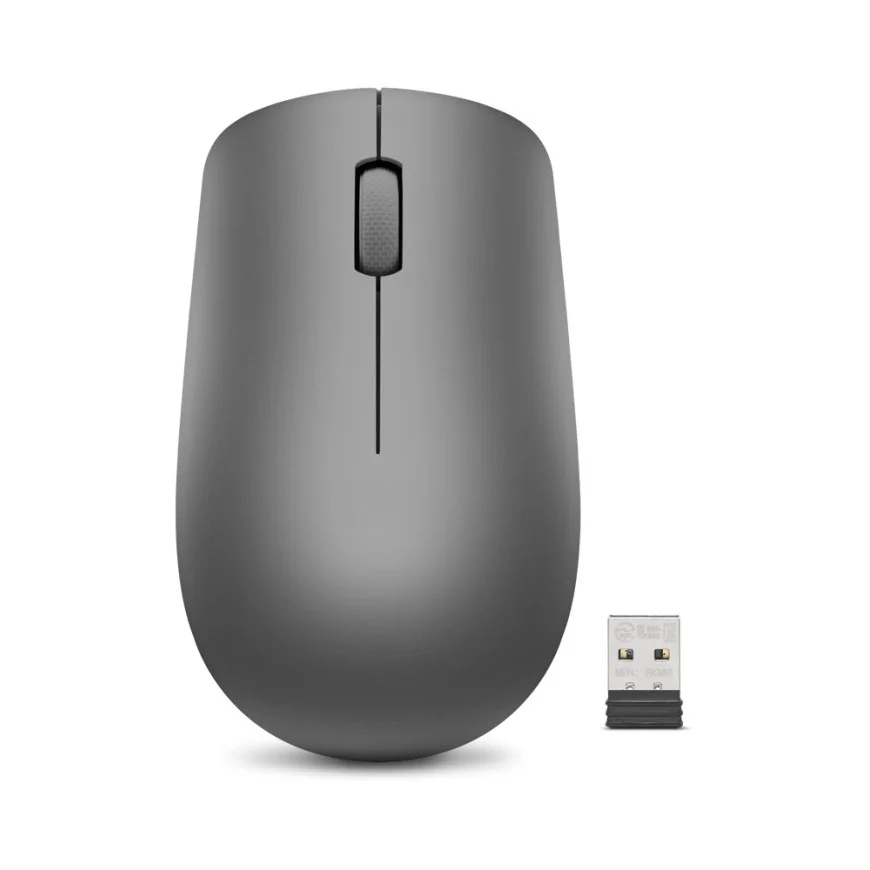 Souris sans fil USB Lenovo 530 - Graphite (GY50Z49089)