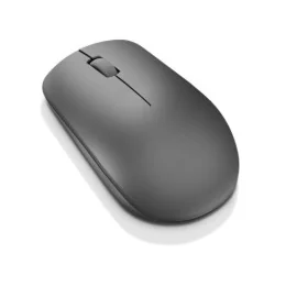  Souris sans fil USB Lenovo 530 - Graphite (GY50Z49089)
