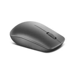  Souris sans fil USB Lenovo 530 - Graphite (GY50Z49089)