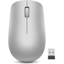 Souris sans fil USB Lenovo 530 (GY50Z18984)