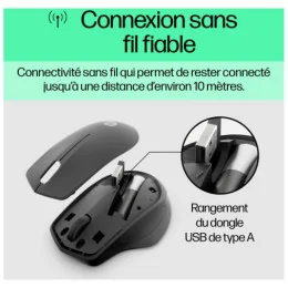  Souris sans fil silencieuse HP 280 (19U64AA)