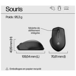  Souris sans fil silencieuse HP 280 (19U64AA)