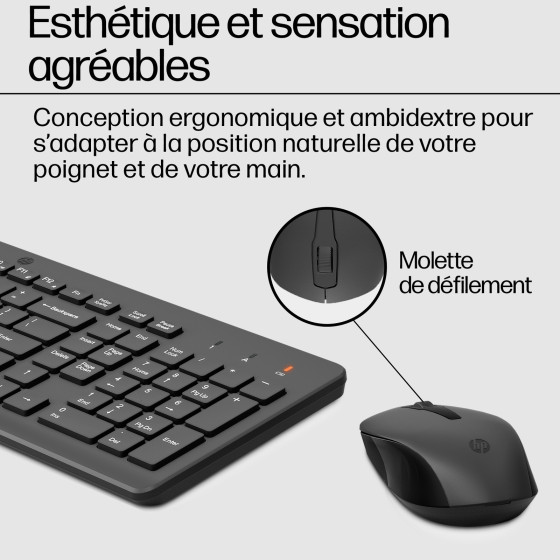 HP Ensemble combiné clavier et souris sans fil 330 - AZERTY (2V9E6AA)