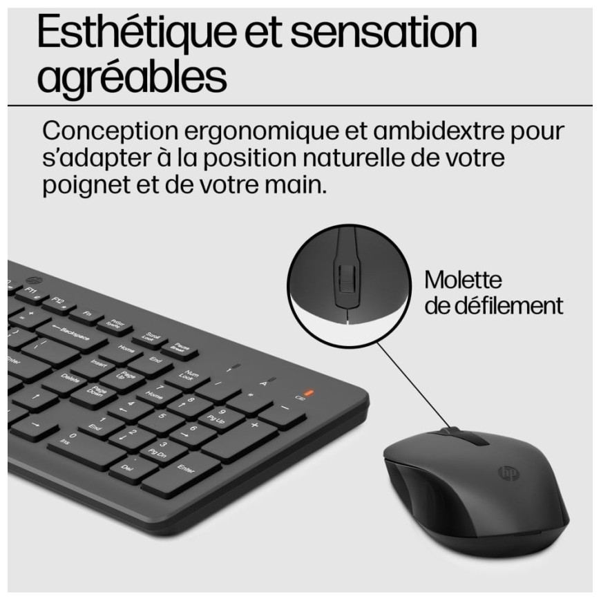 HP Ensemble combiné clavier et souris sans fil 330 - AZERTY (2V9E6AA)