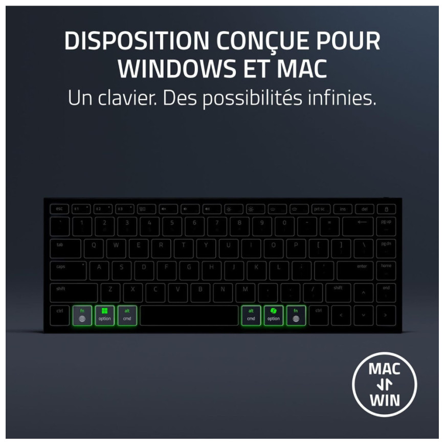 Clavier sans fil Razer Joro - Français (AZERTY) (RZ03-02360400-R3F1)