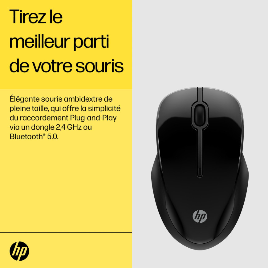 Souris sans fil Bluetooth HP 250 Double mode (6V2J7AA)