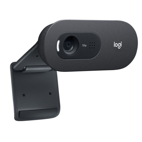 Webcam Logitech C505e (960-001372)