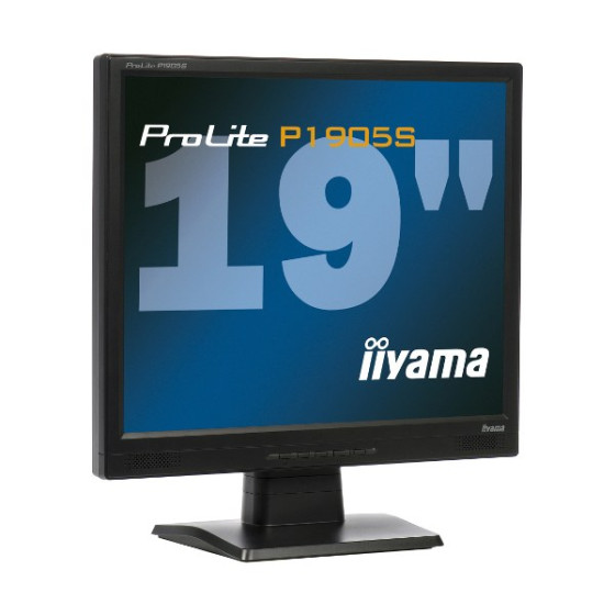 Écran Iiyama ProLite P1905S-B2 19 pouces LED (Remis à neuf)