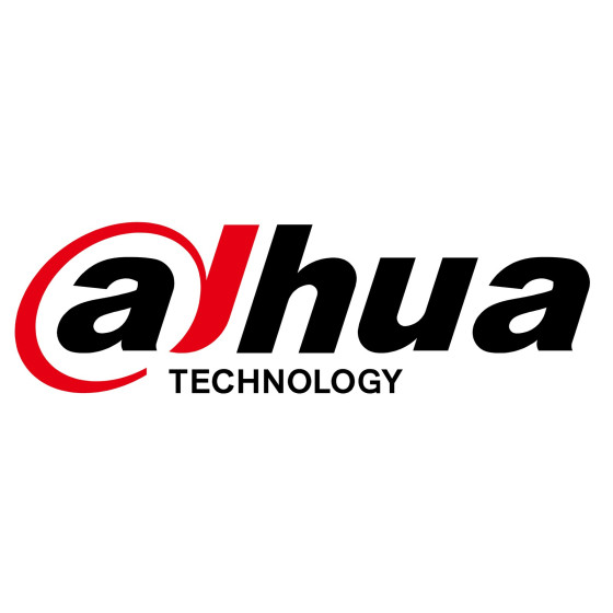 Dahua Technology Lite Technology