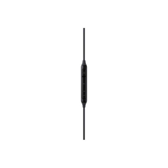 EO-IC100BBEGWW Ecouteurs Type C Samsung