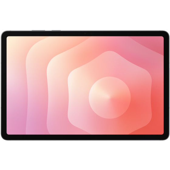 Tablette Samsung Galaxy Tab S11 5G - gris (12GB / 256GB) (SM-X736BZAEMWD)