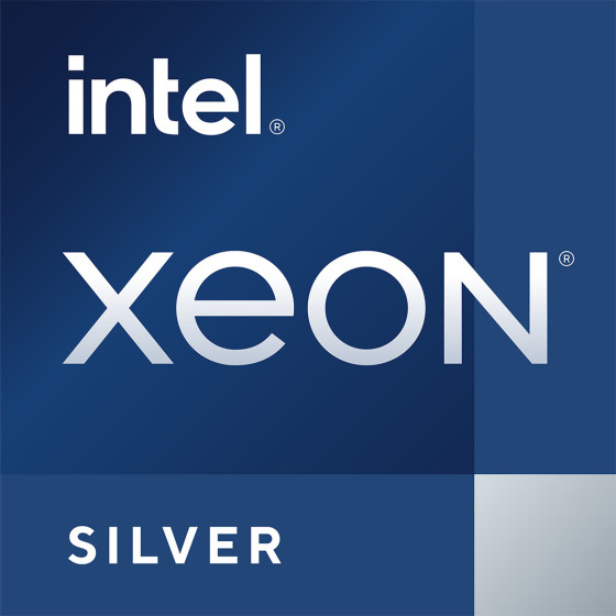 Serveur Dell Intel Xeon Slvr 4510 (338-CPCF)