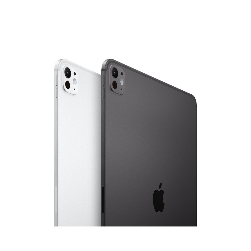 13-INCH IPAD M5 M5 avec verre standard 2025 - (256Go/WIFI) - Argent (MDYK4QA/A)