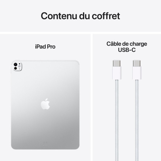 13-INCH IPAD M5 M5 avec verre standard 2025 - (256Go/WIFI) - Argent (MDYK4QA/A)