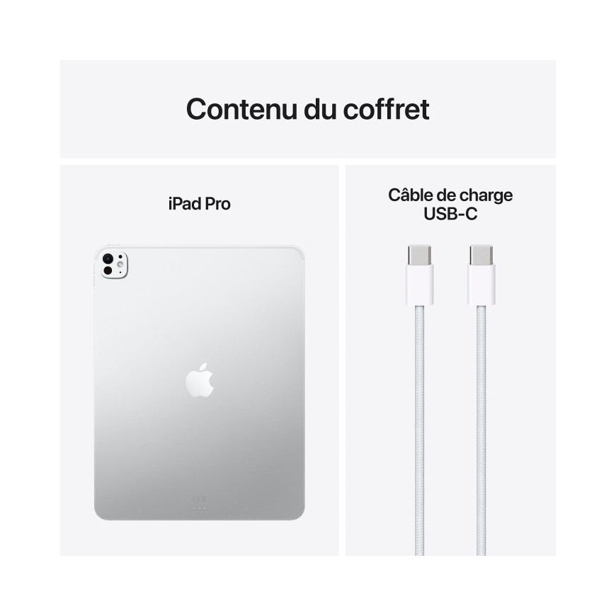 13-INCH IPAD M5 M5 avec verre standard 2025 - (256Go/WIFI) - Argent (MDYK4QA/A)