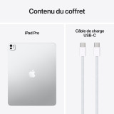 13-INCH IPAD M5 M5 avec verre standard 2025 - (256Go/WIFI) - Argent (MDYK4QA/A)