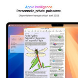 Apple MacBook Air M4 13 pouces (2025) Silver 16Go/256 Go (MW0W3FN/A) (MW0W3)