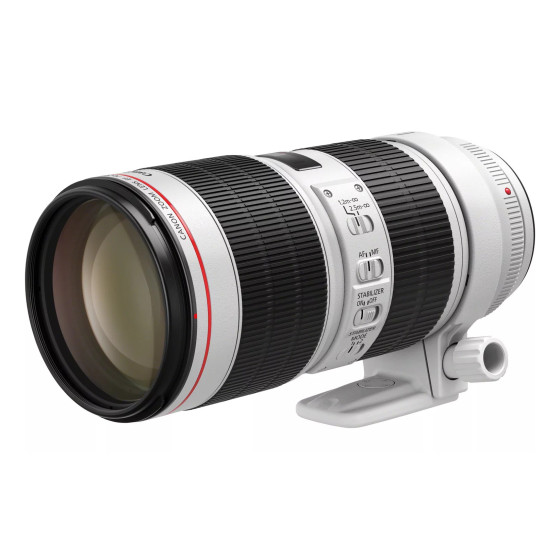 Appareil photo reflex CanonEF70-200mmf/2.8LIS Iiiusm (3044C005AA)