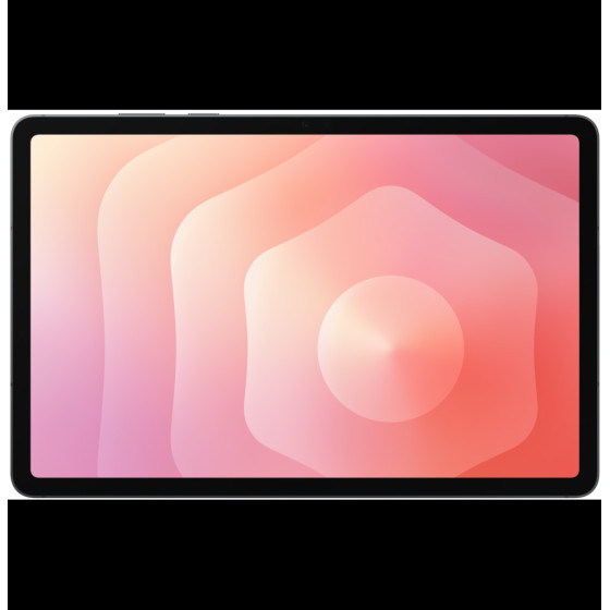 Tablette Samsung Galaxy Tab S11 5G - gris (12GB / 256GB) (SM-X736BZAEMWD)