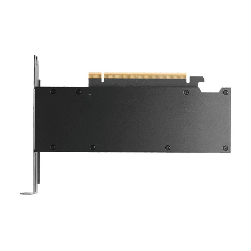 Carte graphique PNY NVIDIA RTX PRO 2000 Blackwell OEM (VCNRTXPRO2000)