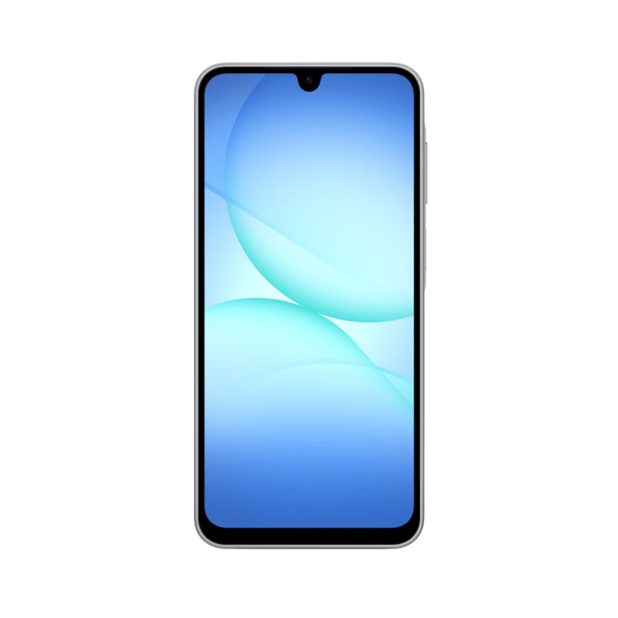 Samsung Galaxy A17 6,7" (6Go / 128Go) - 4G Double SIM Gris (SM-A175FZACMWD)