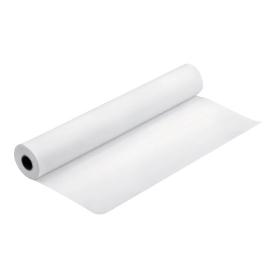 Papier photo Epson Proofing blanc semi-mat 256g 24" pour impression professionnelle (C13S042004)