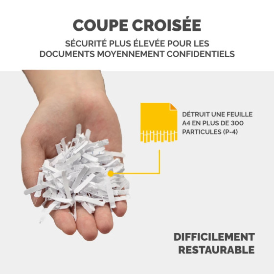 Destructeur de documents Fellowes 53C Coupe Croisée (F4653101)