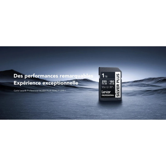 Carte mémoire SD LEXAR Silver Plus 256GB UHS-I 205MB/s (LSDSIPL256G-BNNNG)
