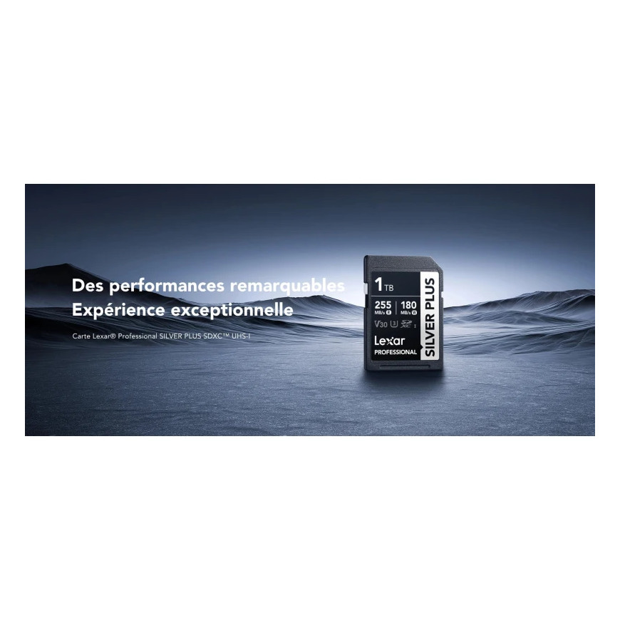 Carte mémoire SD LEXAR Silver Plus 256GB UHS-I 205MB/s (LSDSIPL256G-BNNNG)