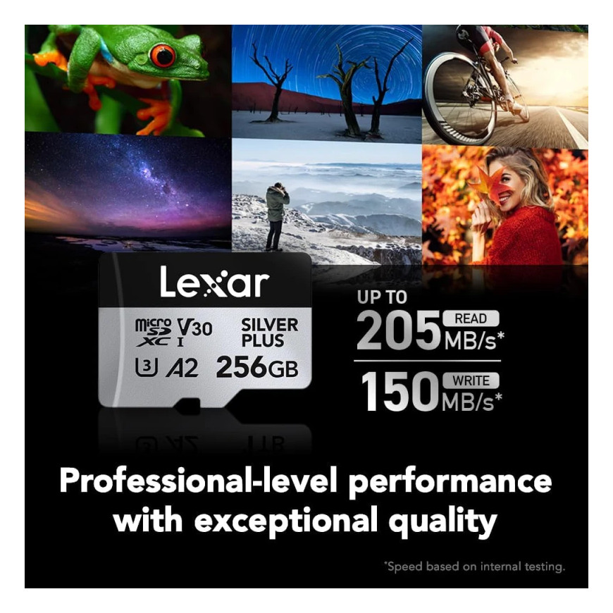 Carte mémoire microSD LEXAR Silver Plus 256GB UHS-I 205MB/s (LMSSIPL256G-BNANG)