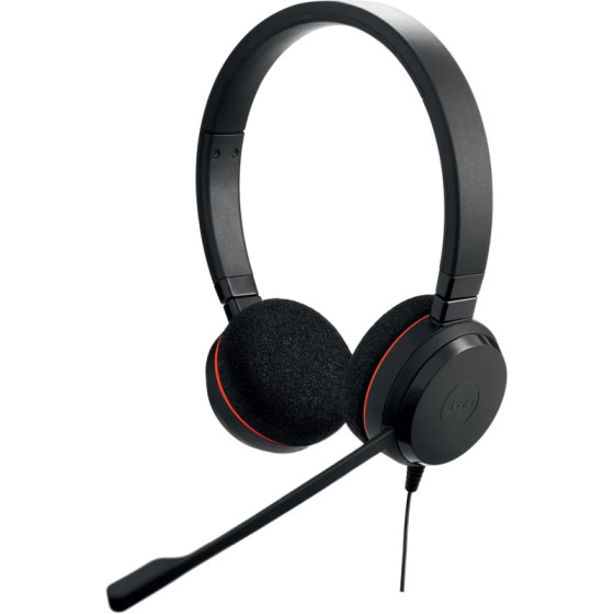 Casque Jabra Evolve 20 MS Duo USB C/A Professionnel (4999-823-169)