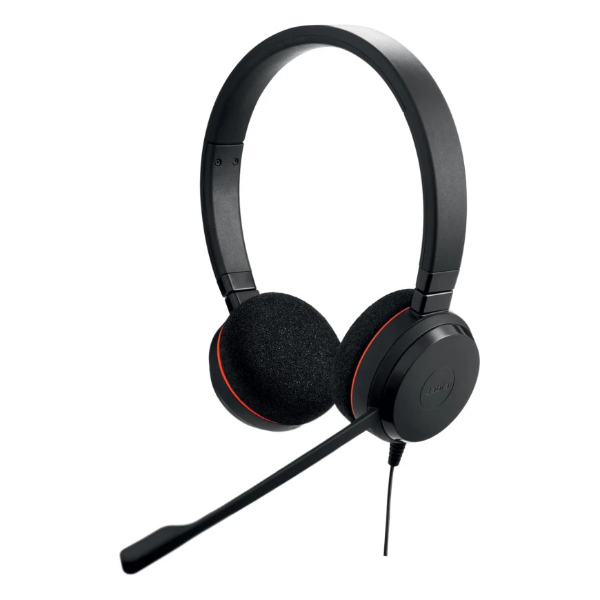 Casque Jabra Evolve 20 MS Duo USB C/A Professionnel (4999-823-169)